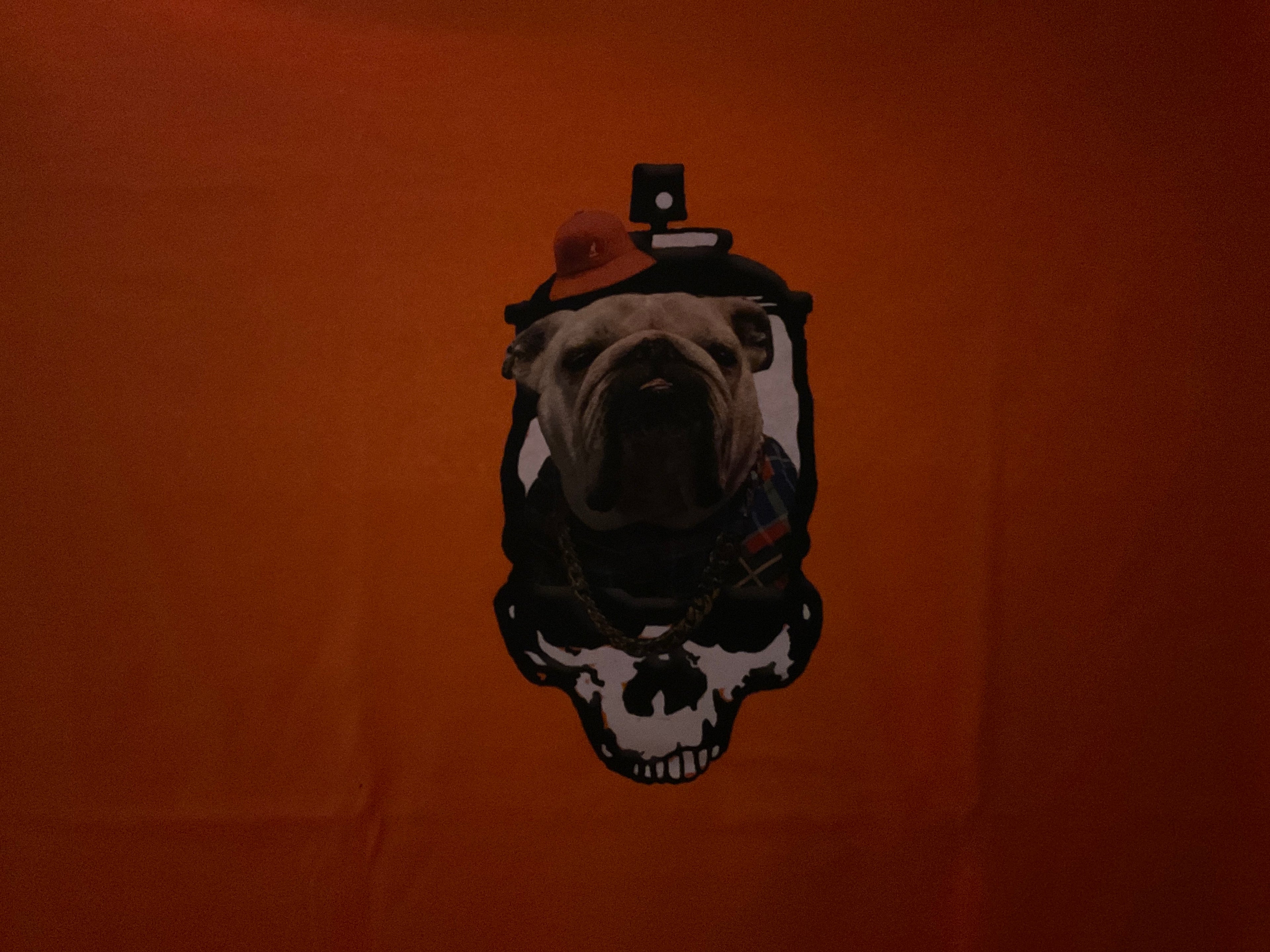Till Death Skull Big Dogg Shit