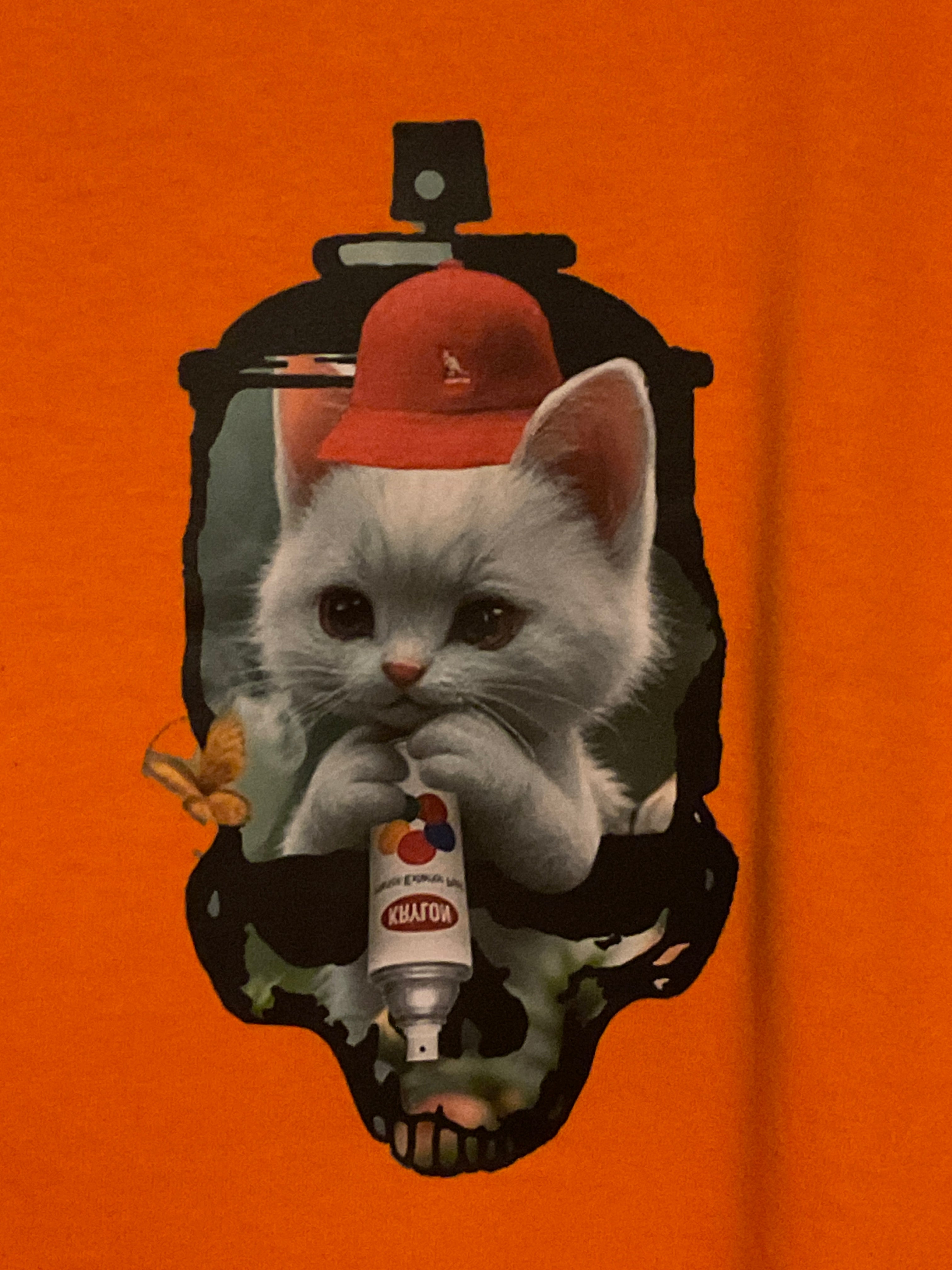 Fresh since kitten lucky money   Cat skull